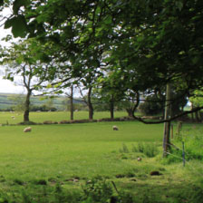 pembrokeshire landscape Ty Llwyd